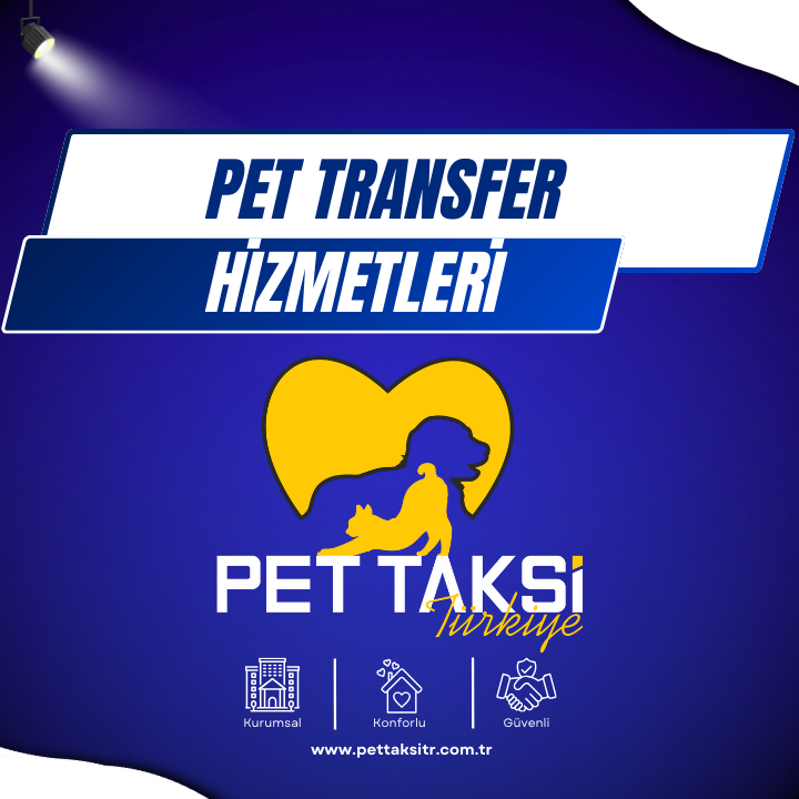 Pet Transfer