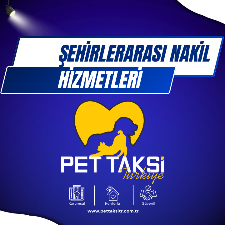 Pet Nakli Şehirlerarası