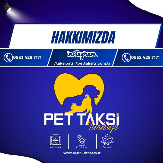 Hakkımızda
